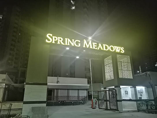 Spring Meadows