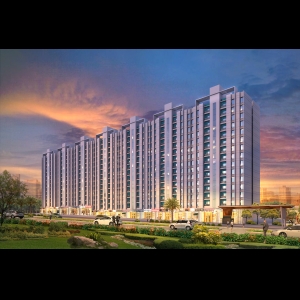 Megapolis Saffron
